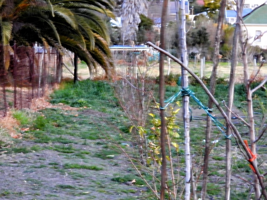 0 Bedroom Property for Sale in Uniondale Western Cape